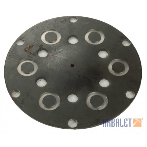 Clutch disks assembly (5 pieces) (6203013)