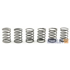 Clutch springs (6 pieces) (7203115-01)